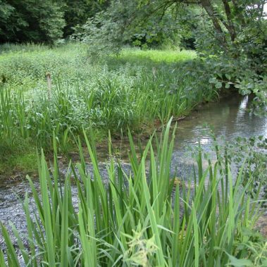 Ruisseau en Bourgogne