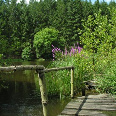 Lac de Pont Semur en Auxois
