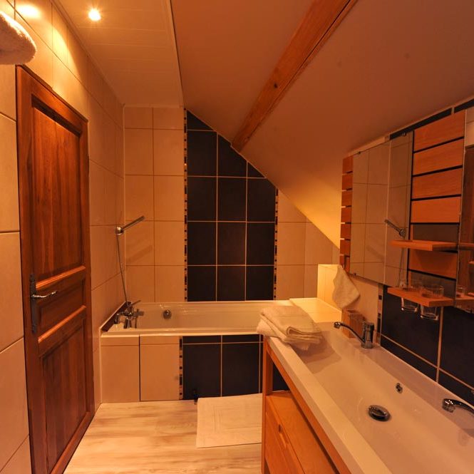 Chambre Sabotier SDB1