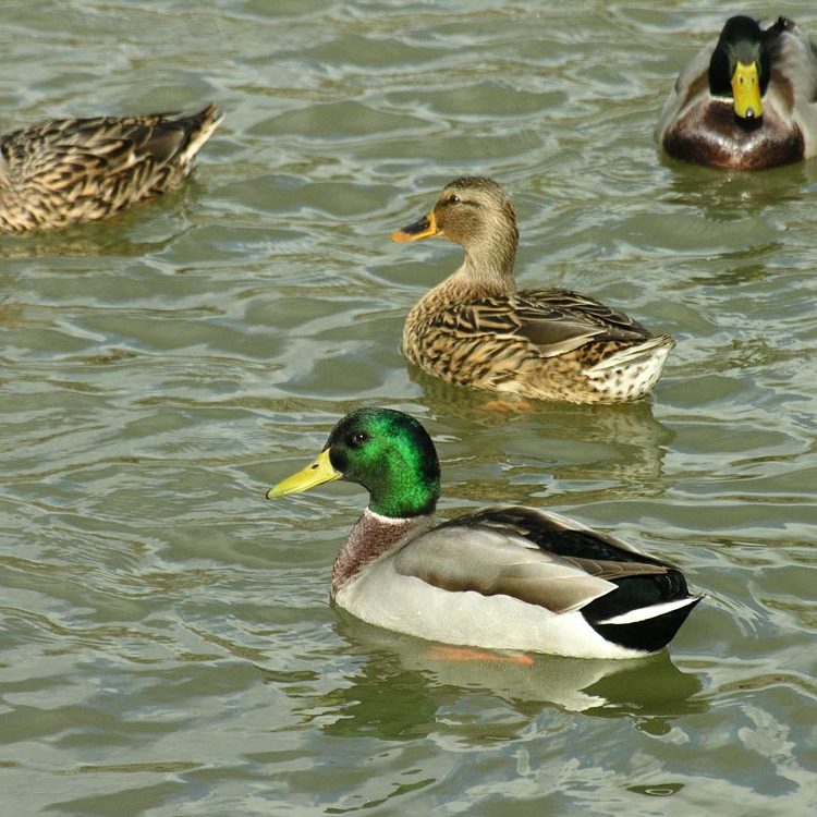 Tourisme en Bourgogne